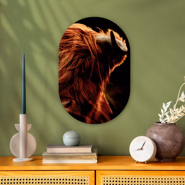 Schotse hooglander - Koe - Hoorns - Portret - Dieren Wandcirkel Ovaal Forex klein -sfeer2