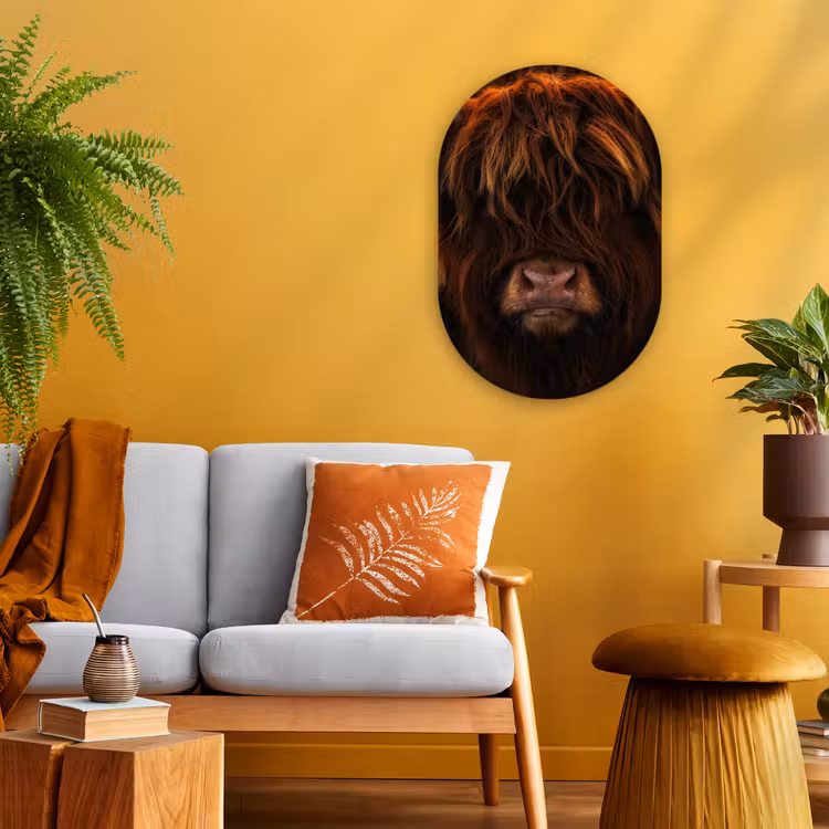 Schotse Hooglander - Koe - Portret - Dieren Wandcirkel Ovaal Forex klein -sfeer4
