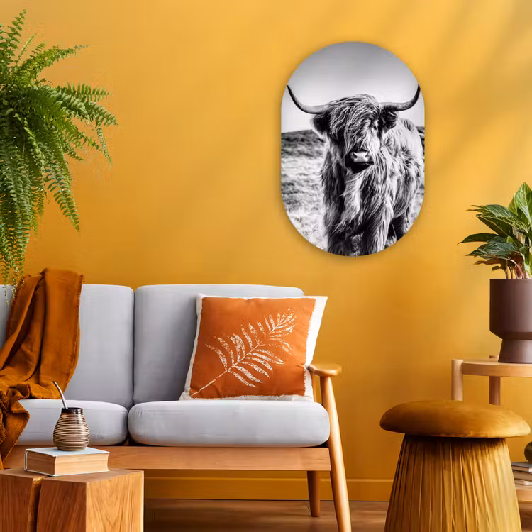 Schotse hooglander - Natuur - Koe - Zwart - Wit Wandcirkel Ovaal Forex klein -sfeer4
