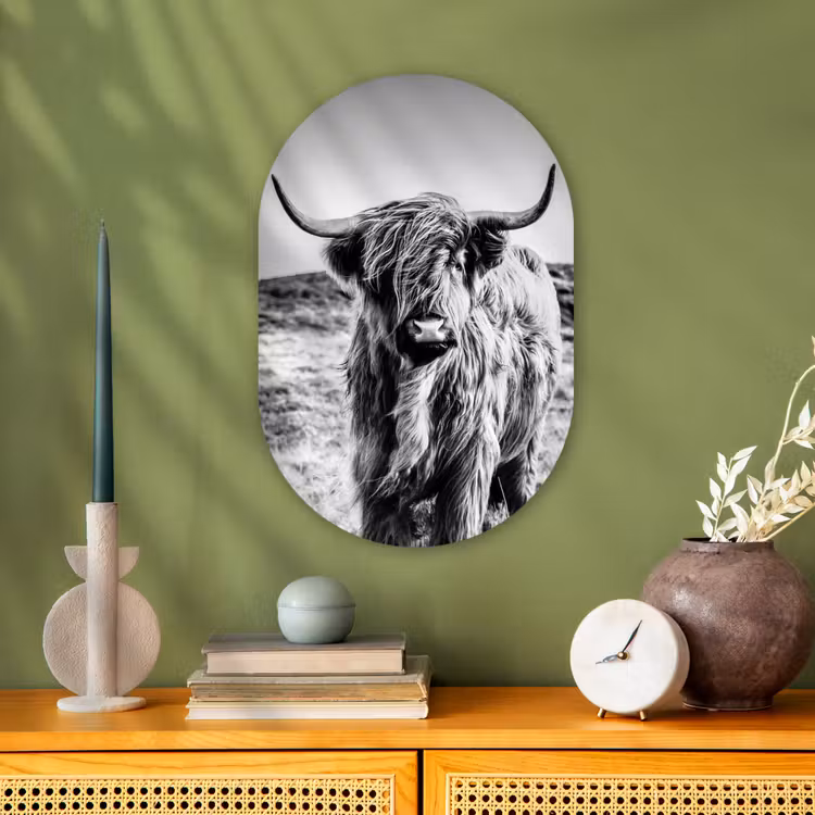 Schotse hooglander - Natuur - Koe - Zwart - Wit Wandcirkel Ovaal Forex klein -sfeer2