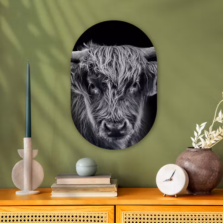 Schotse hooglander - Zwart - Koe - Dieren Wandcirkel Ovaal Forex klein -sfeer2