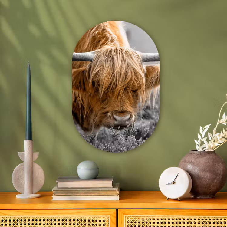 Schotse Hooglander - Dieren - Bruin - Koe - Zwart - Wit - Natuur Wandcirkel Ovaal Forex klein -sfeer2