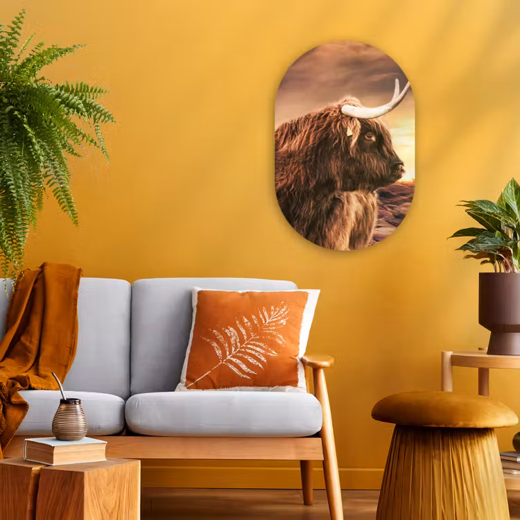 Schotse hooglander - Zon - Horizon - Koe - Dieren Wandcirkel Ovaal Forex klein -sfeer4