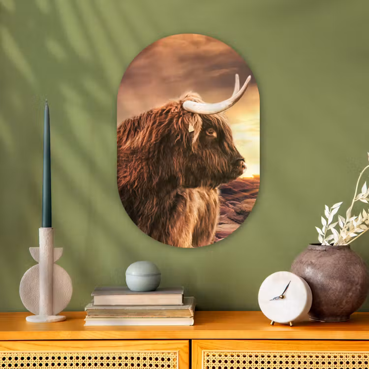 Schotse hooglander - Zon - Horizon - Koe - Dieren Wandcirkel Ovaal Forex klein -sfeer2