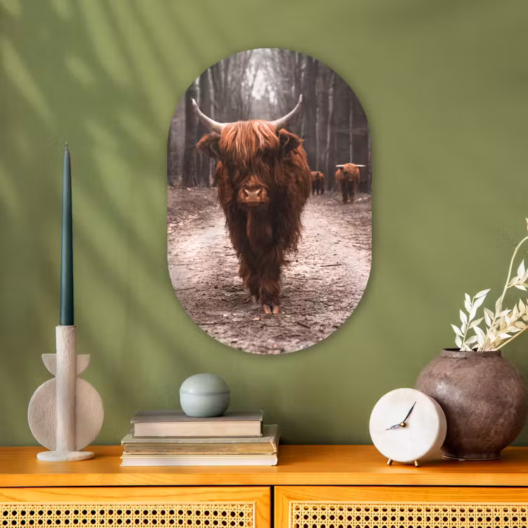 Schotse hooglander - Bos - Koe - Dieren - Natuur Wandcirkel Ovaal Forex klein -sfeer2