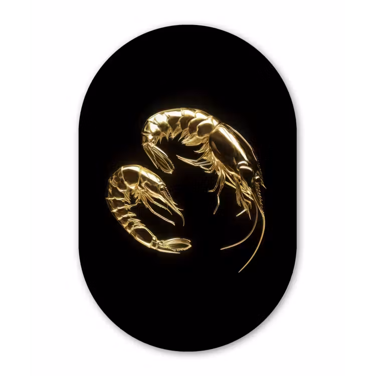 Garnalen - Zwart - Goud - Dieren Wandcirkel Ovaal Forex klein -3d
