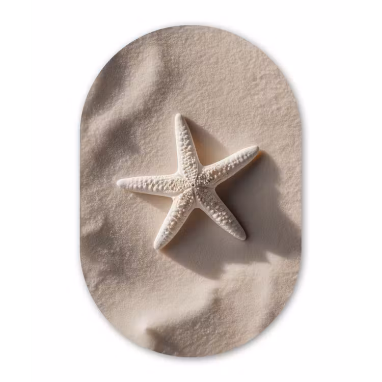 Strand - Zeester - Zand - Beige Wandcirkel Ovaal Forex klein -3d