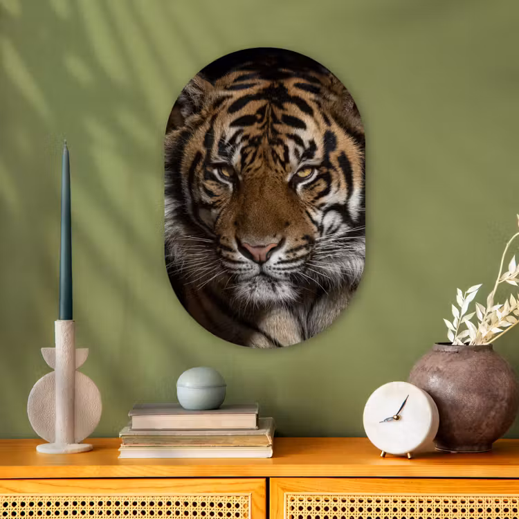 Tijger - Wilde dieren - Portret Wandcirkel Ovaal Forex klein -sfeer2