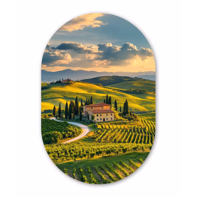Toscane - Landschap - Wijngaarden Wandcirkel Ovaal Forex klein -3d