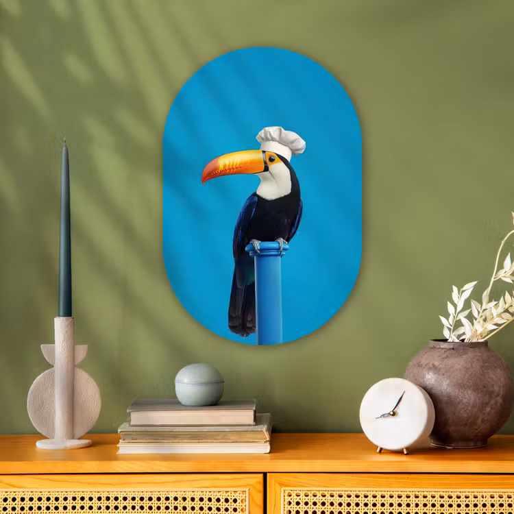 Tucan - Sokkel - Vogel - Koksmuts Wandcirkel Ovaal Forex klein -sfeer2