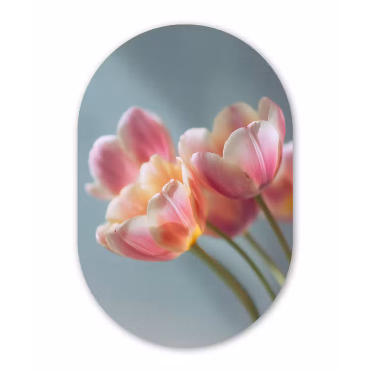 Tulpen - Roze - Stelen Wandcirkel Ovaal Forex klein -3d