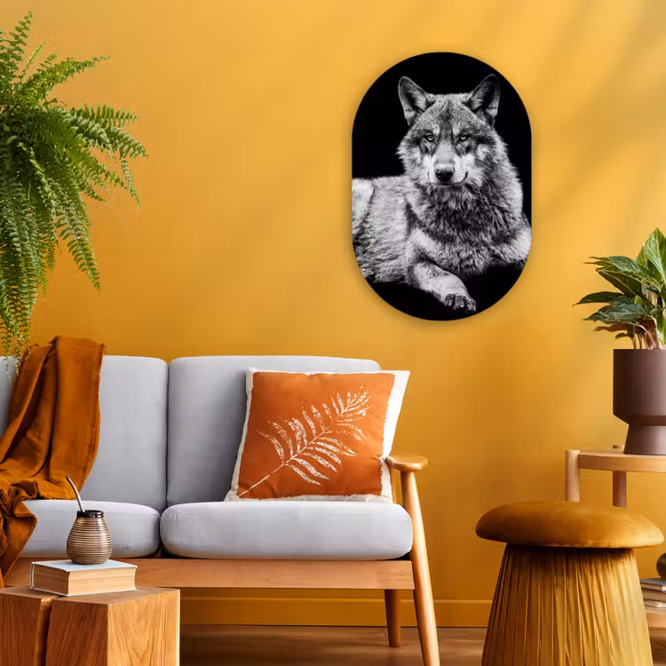 Wilde dieren - Wolf - Zwart - Wit Wandcirkel Ovaal Forex klein -sfeer4