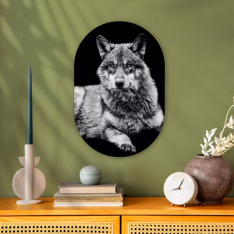 Wilde dieren - Wolf - Zwart - Wit Wandcirkel Ovaal Forex klein -sfeer2