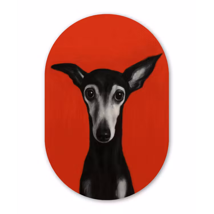 Windhond - Minimalistisch - Rood Wandcirkel Ovaal Forex klein -3d