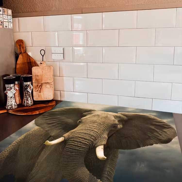 Afrikaanse olifant tegen de donkere wolken Inductie beschermer vinyl 3mm middel -sfeer3