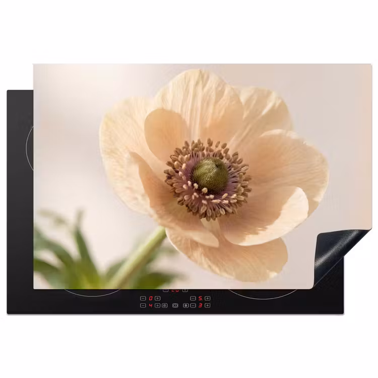 Bloem - Minimalistisch - Groen Inductie beschermer vinyl 3mm klein -3d