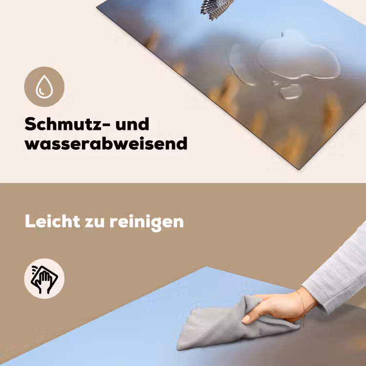 Kleurrijke valk aan het vliegen Inductie beschermer vinyl 3mm middel -tsfeer6_DE