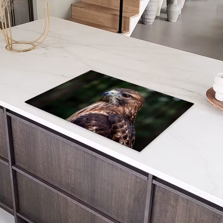 Buizerd - Roofvogel - Natuur - Bruin Inductie beschermer vinyl 3mm klein -sfeer8