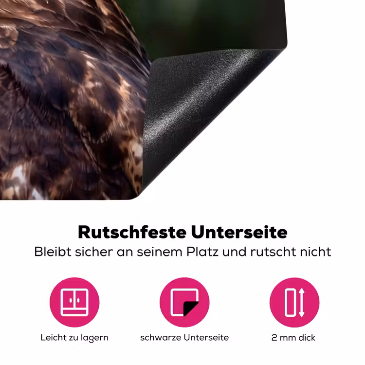 Buizerd - Roofvogel - Natuur - Bruin Inductie beschermer vinyl 3mm klein -zzzzzzz-lf-onderkant