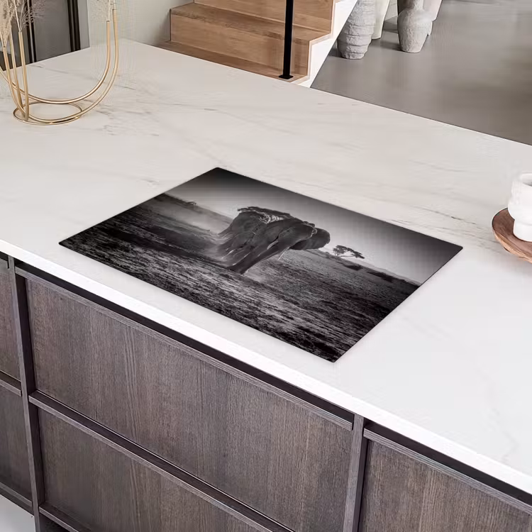 Karavaan van de Oude Reuzen Inductie beschermer vinyl 3mm klein -sfeer8