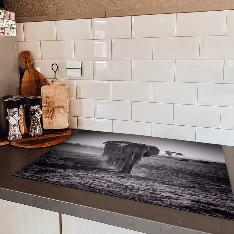 Karavaan van de Oude Reuzen Inductie beschermer vinyl 3mm klein -sfeer3