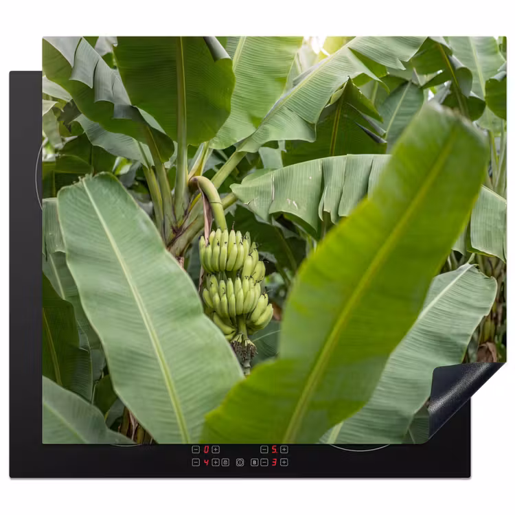 Eten - Bananen - Plantage - Groen Inductie beschermer vinyl 3mm middel -3d
