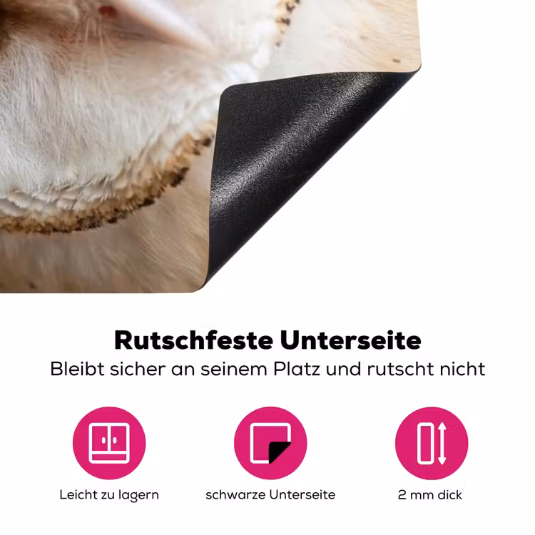 Uil - Bruin - Wit Inductie beschermer vinyl 3mm klein -zzzzzzz-lf-onderkant