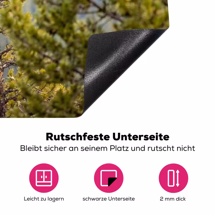 Uil - Oehoe - Bomen - Natuur Inductie beschermer vinyl 3mm klein -zzzzzzz-lf-onderkant