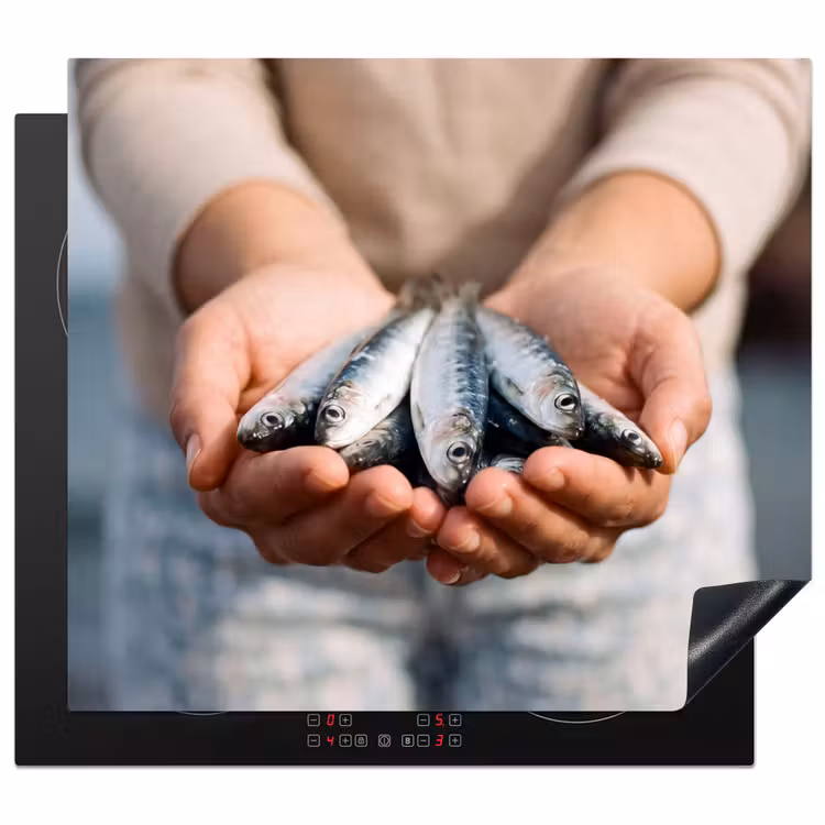 Herdabdeckplatte - Fisch – Hände – Natur - Vis - Handen - Natuur Inductie beschermer vinyl 3mm middel