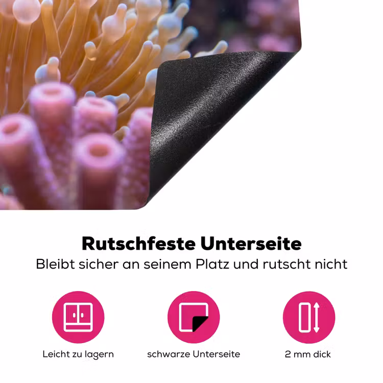 Vis - Koraal - Onderwater - Oranje - Dieren Inductie beschermer vinyl 3mm klein -zzzzzzz-lf-onderkant