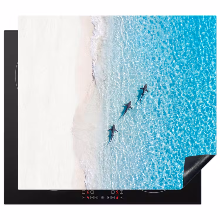 Vis - Oceaan - Strand - Turquoise - Natuur Inductie beschermer vinyl 3mm middel -3d