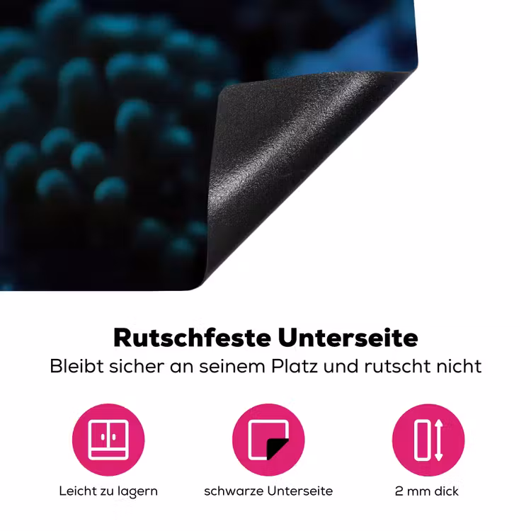 Vis - Stippen - Koraal - Blauw Inductie beschermer vinyl 3mm klein -zzzzzzz-lf-onderkant