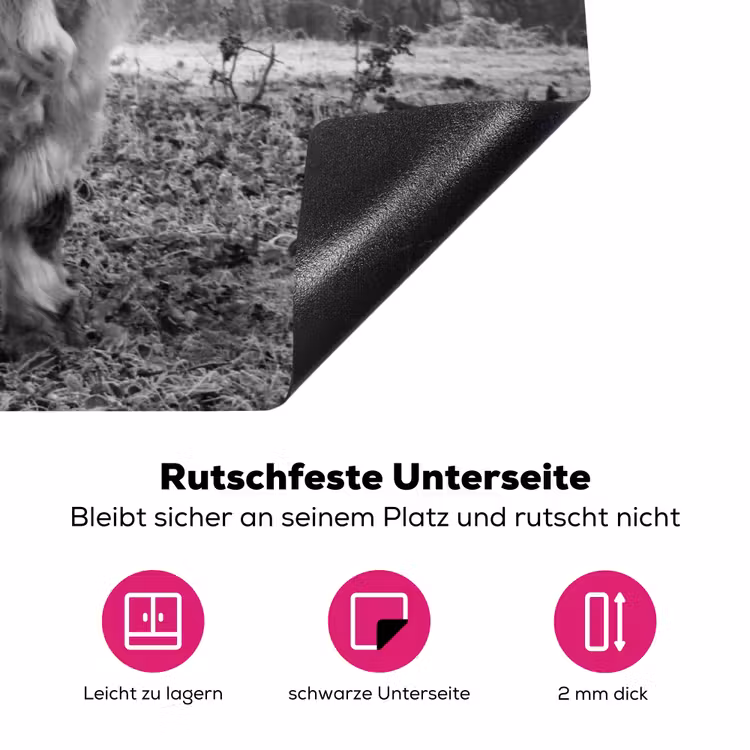 Heerser van de Mist Inductie beschermer vinyl 3mm klein -zzzzzzz-lf-onderkant