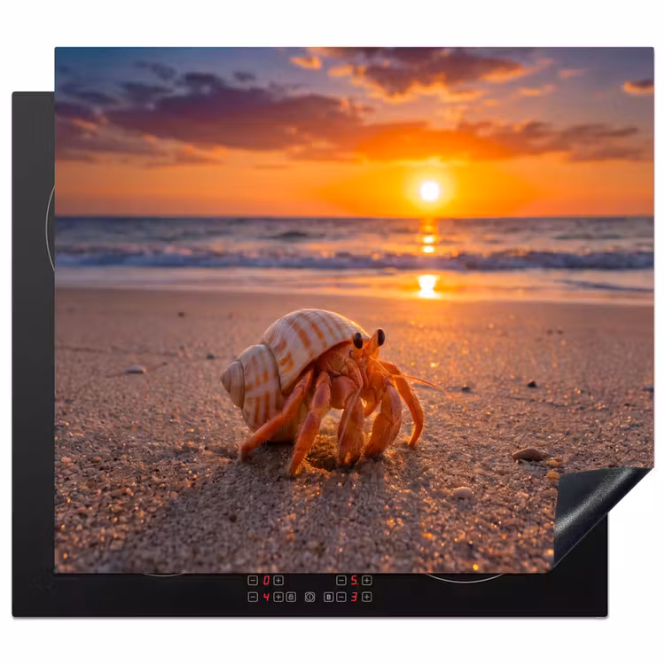 Kreeft - Strand - Natuur - Zonsondergang - Oranje Inductie beschermer vinyl 3mm middel -3d