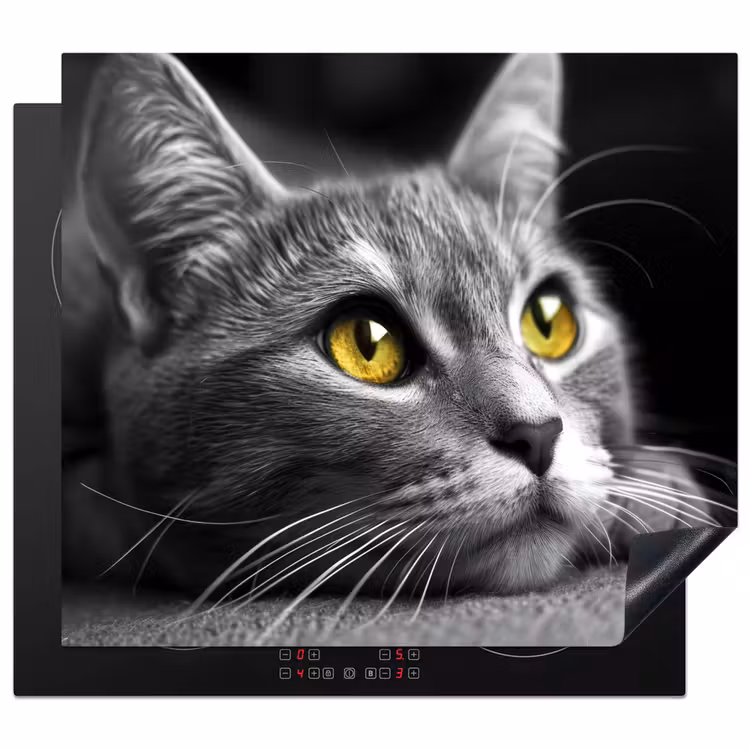 Kat - Grijs - Dieren - Poes Inductie beschermer vinyl 3mm middel -3d