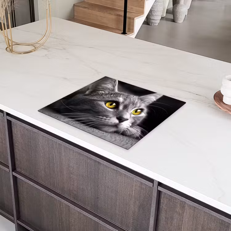 Kat - Grijs - Dieren - Poes Inductie beschermer vinyl 3mm middel -sfeer8