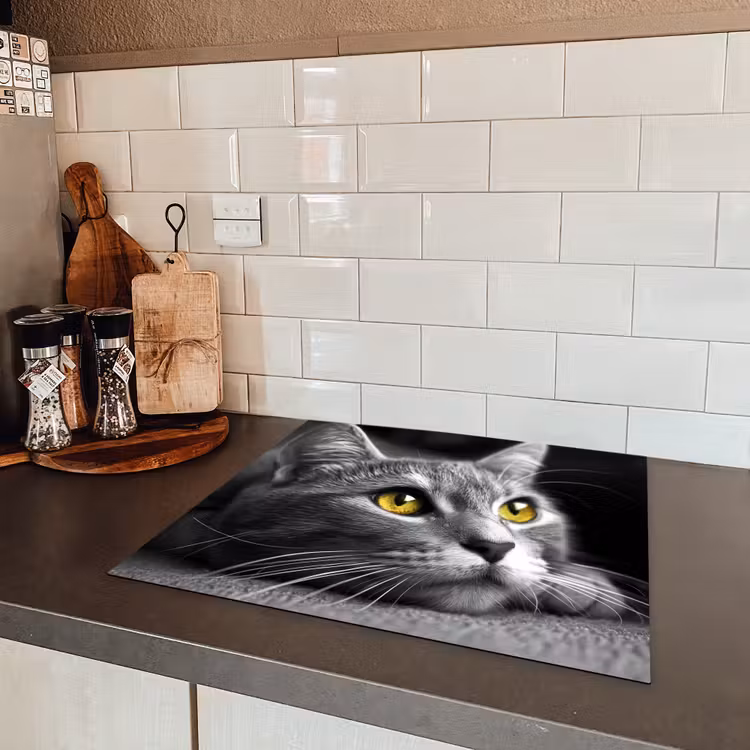 Kat - Grijs - Dieren - Poes Inductie beschermer vinyl 3mm middel -sfeer3