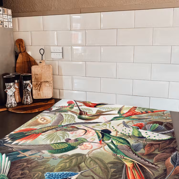 Kolibrie - Vintage - Ernst Haeckel - Vogel - Kunst - Natuur Inductie beschermer vinyl 3mm middel -sfeer3