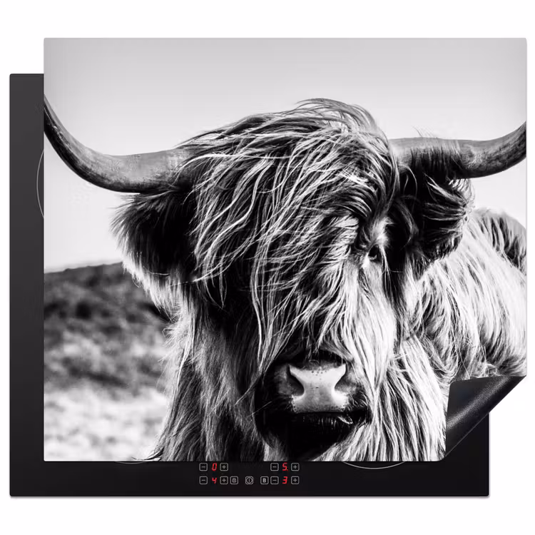 Koe - Schotse hooglander - Zwart - Wit - Dier - Natuur - Wild Inductie beschermer vinyl 3mm middel -3d
