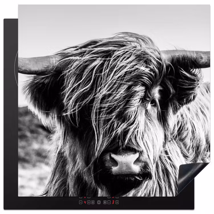 Koe - Schotse hooglander - Zwart - Wit - Dier - Natuur - Wild Inductie beschermer vinyl 3mm middel -3d