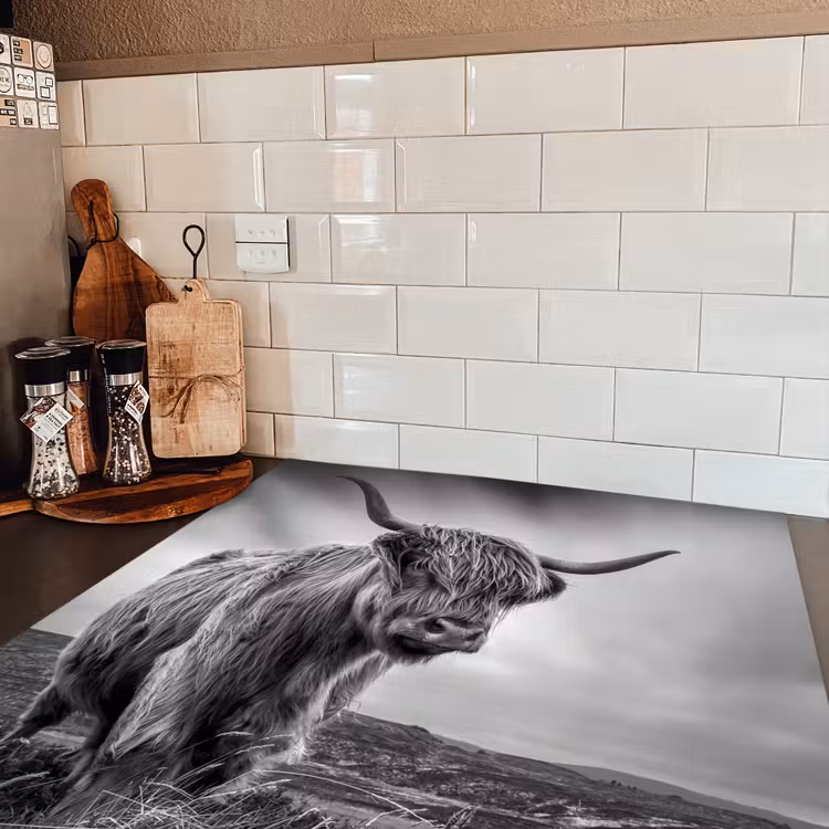 Koeien - Schotse hooglander - Natuur - Dieren - Zwart wit Inductie beschermer vinyl 3mm middel -sfeer3
