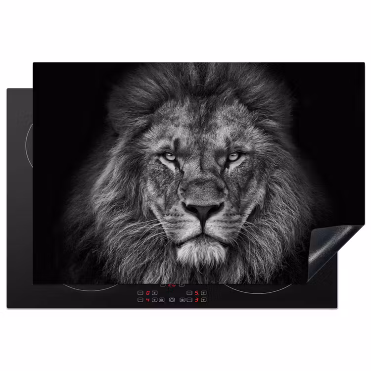 Leeuw - Dieren - Zwart - Wit Inductie beschermer vinyl 3mm klein -3d