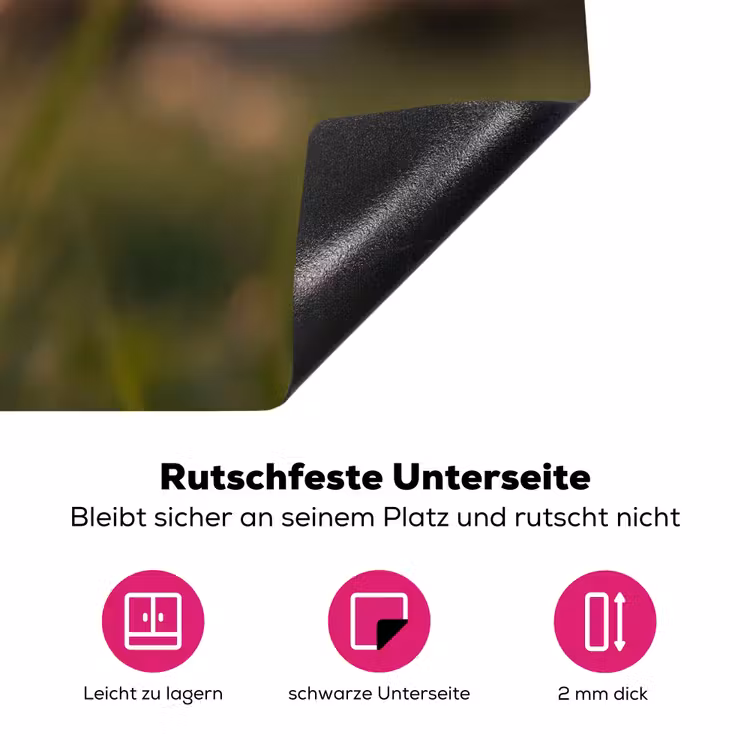 Paardenbloem - Zonsondergang - Veld Inductie beschermer vinyl 3mm klein -zzzzzzz-lf-onderkant
