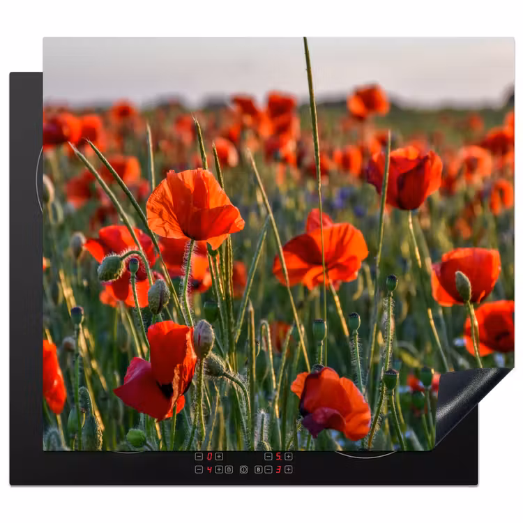 Klaprozen bij Zonsondergang Inductie beschermer vinyl 3mm middel -3d
