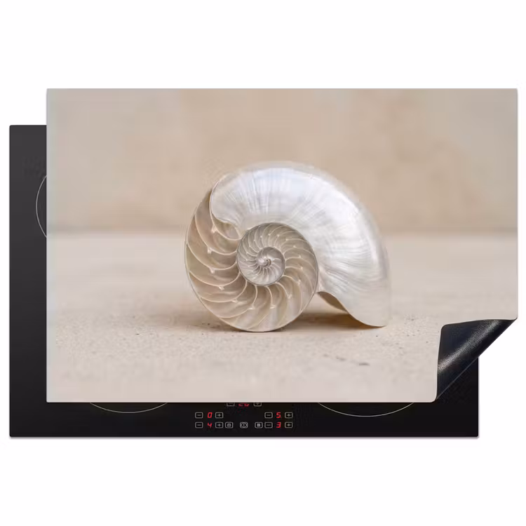Schelp - Spiraal - Beige Inductie beschermer vinyl 3mm klein -3d