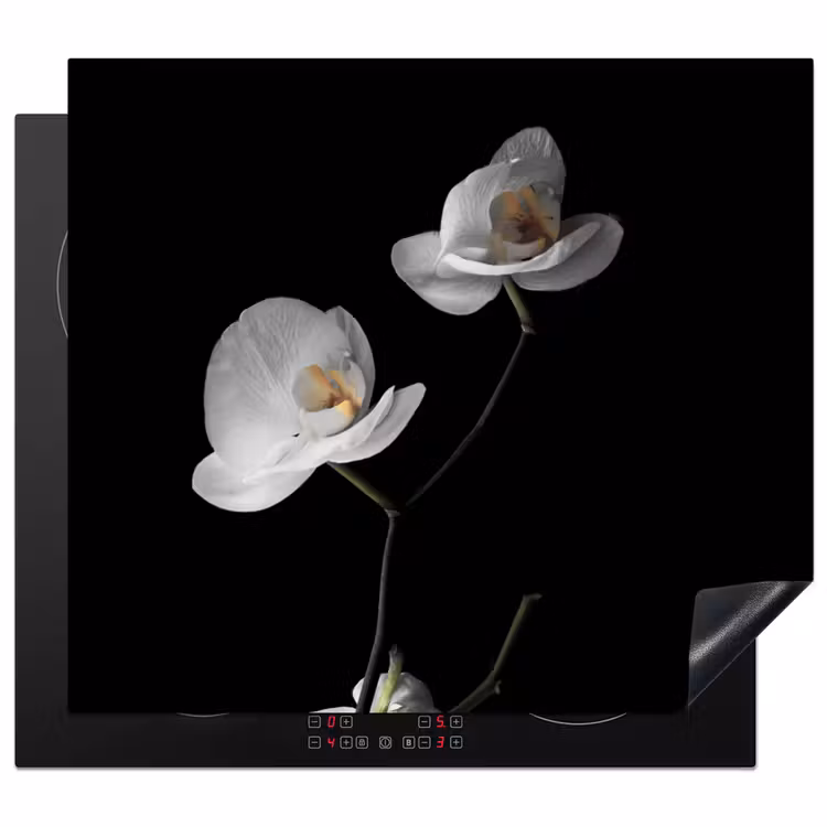 Nachtelijke Orchidee Elegance Inductie beschermer vinyl 3mm middel -3d