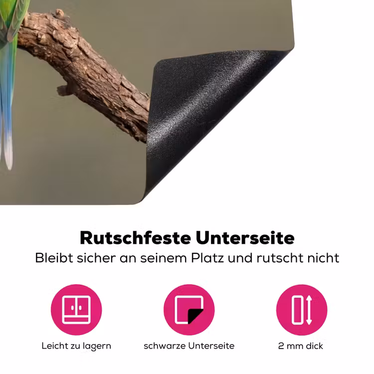 Papagaai - Tak - Natuur - Kleurrijk Inductie beschermer vinyl 3mm klein -zzzzzzz-lf-onderkant