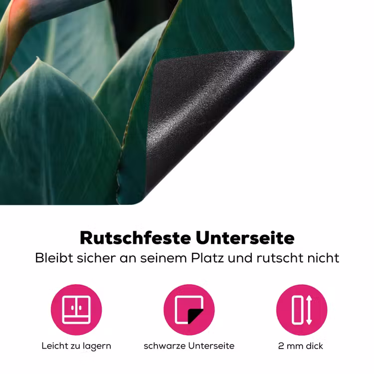 Paradijsvogel - Bloem - Exotisch Inductie beschermer vinyl 3mm klein -zzzzzzz-lf-onderkant