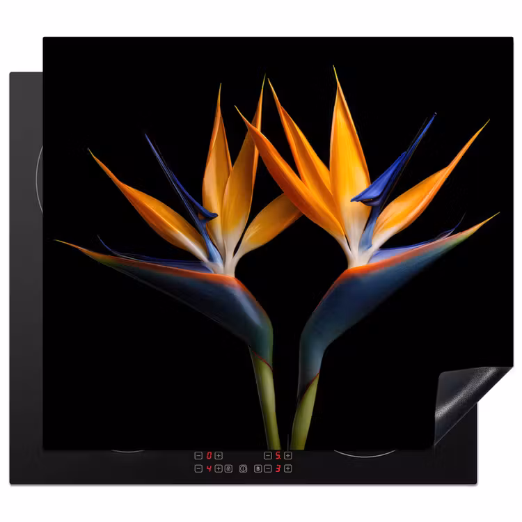 Paradijsvogelbloem Symmetrie Inductie beschermer vinyl 3mm middel -3d