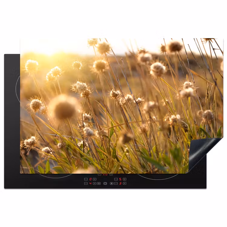Planten - Natuur - Bloemen - Zon - Horizon Inductie beschermer vinyl 3mm klein -3d